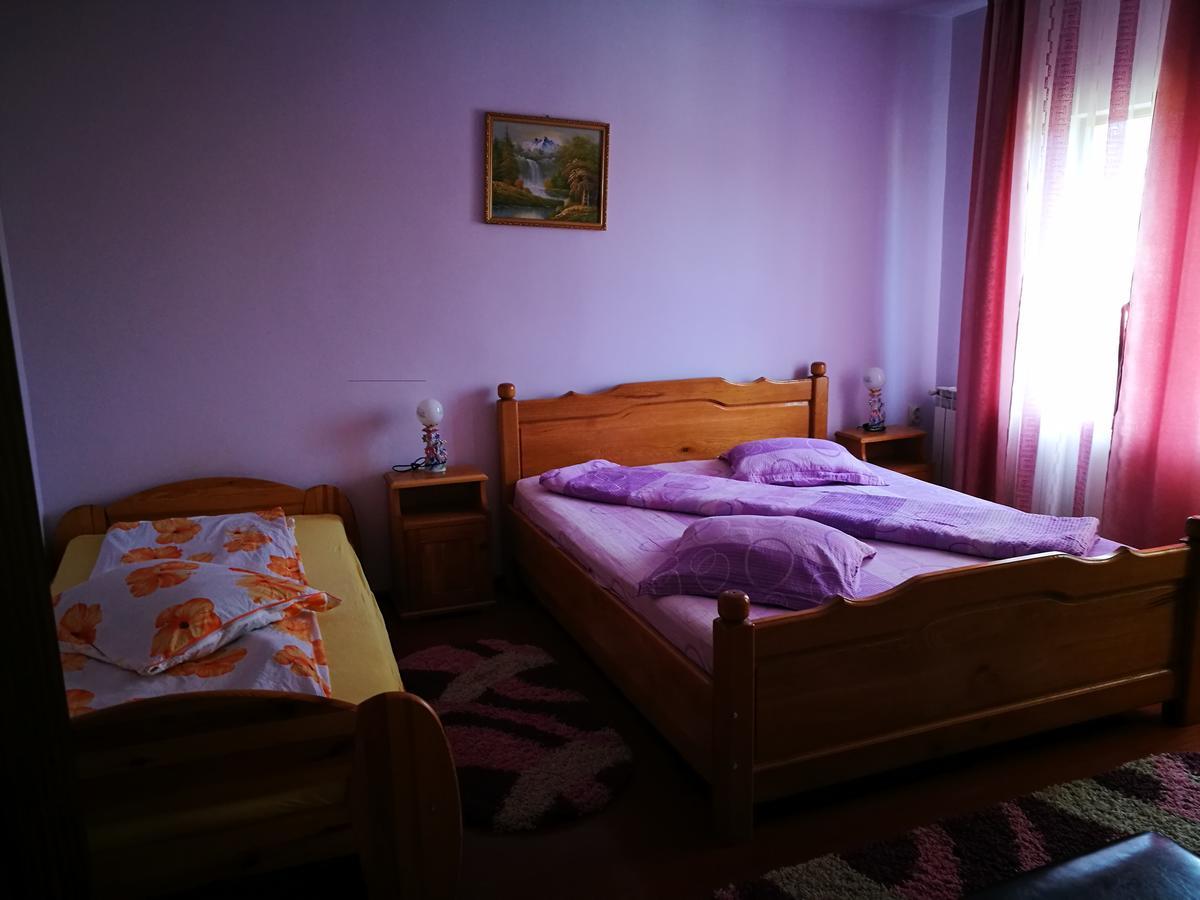 Pensiunea Ramona Cărpinişu 외부 사진