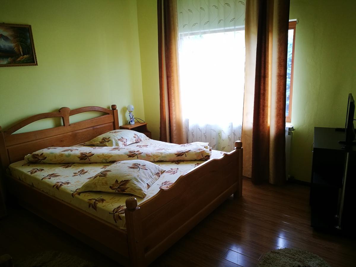 Pensiunea Ramona Cărpinişu 외부 사진