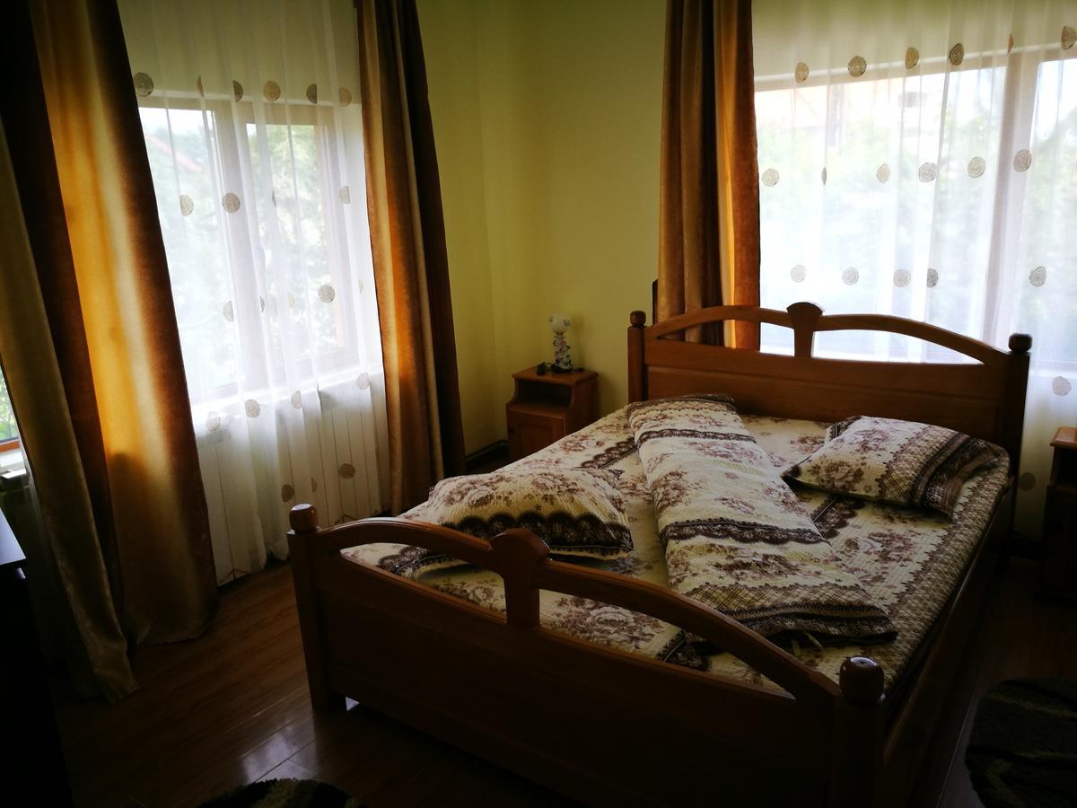 Pensiunea Ramona Cărpinişu 외부 사진