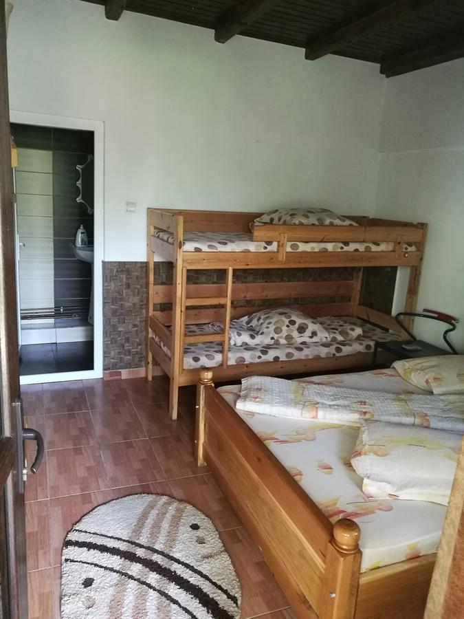 Pensiunea Ramona Cărpinişu 외부 사진